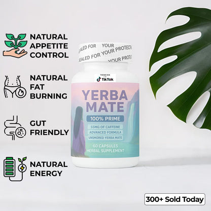 Yerba Mate Capsules
